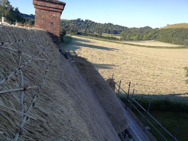 Period cottage re-thatch, Marlborough area
